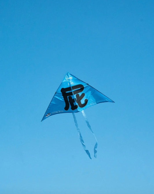 Whimsical Wind: The 'Whoops!' Kite