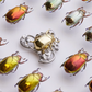 Silk Moth Butterfly Necklace / Beetles Brooch: Luxurious Unisex