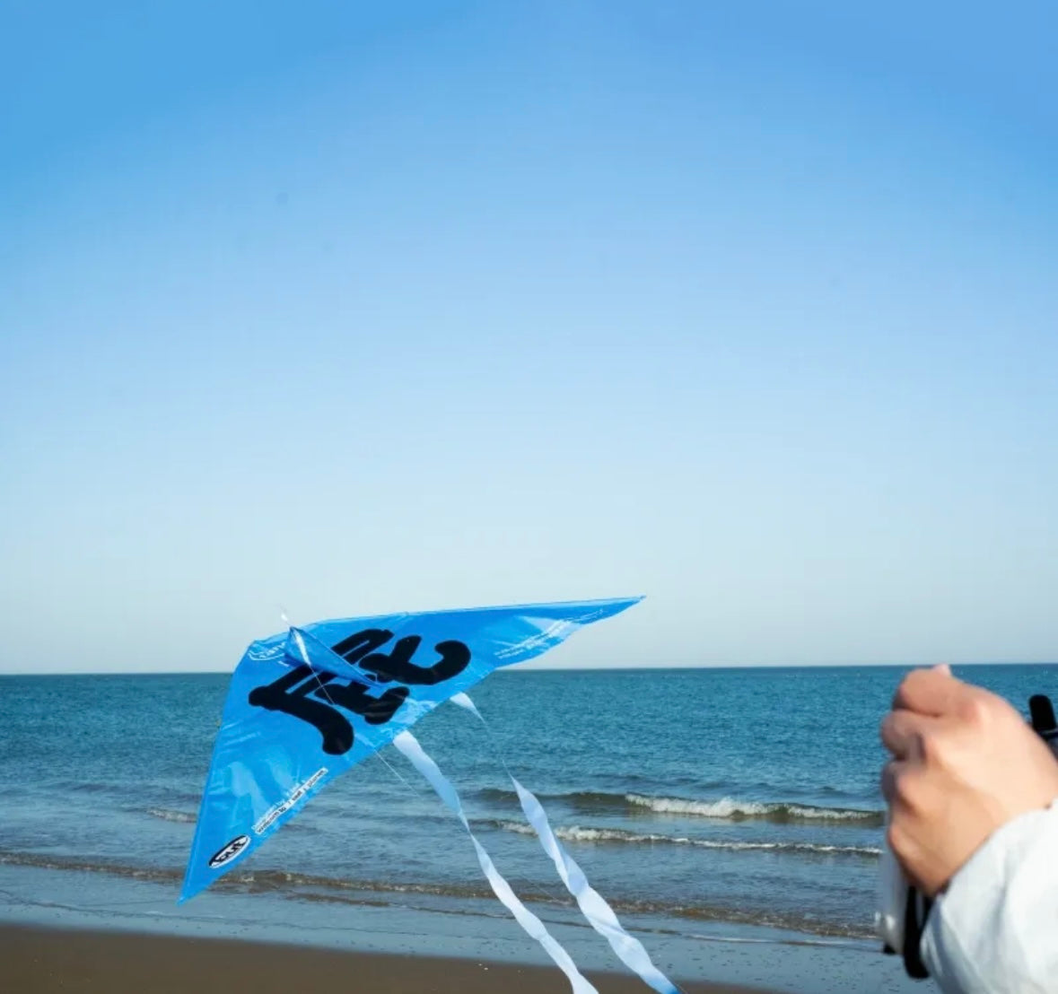 Whimsical Wind: The 'Whoops!' Kite